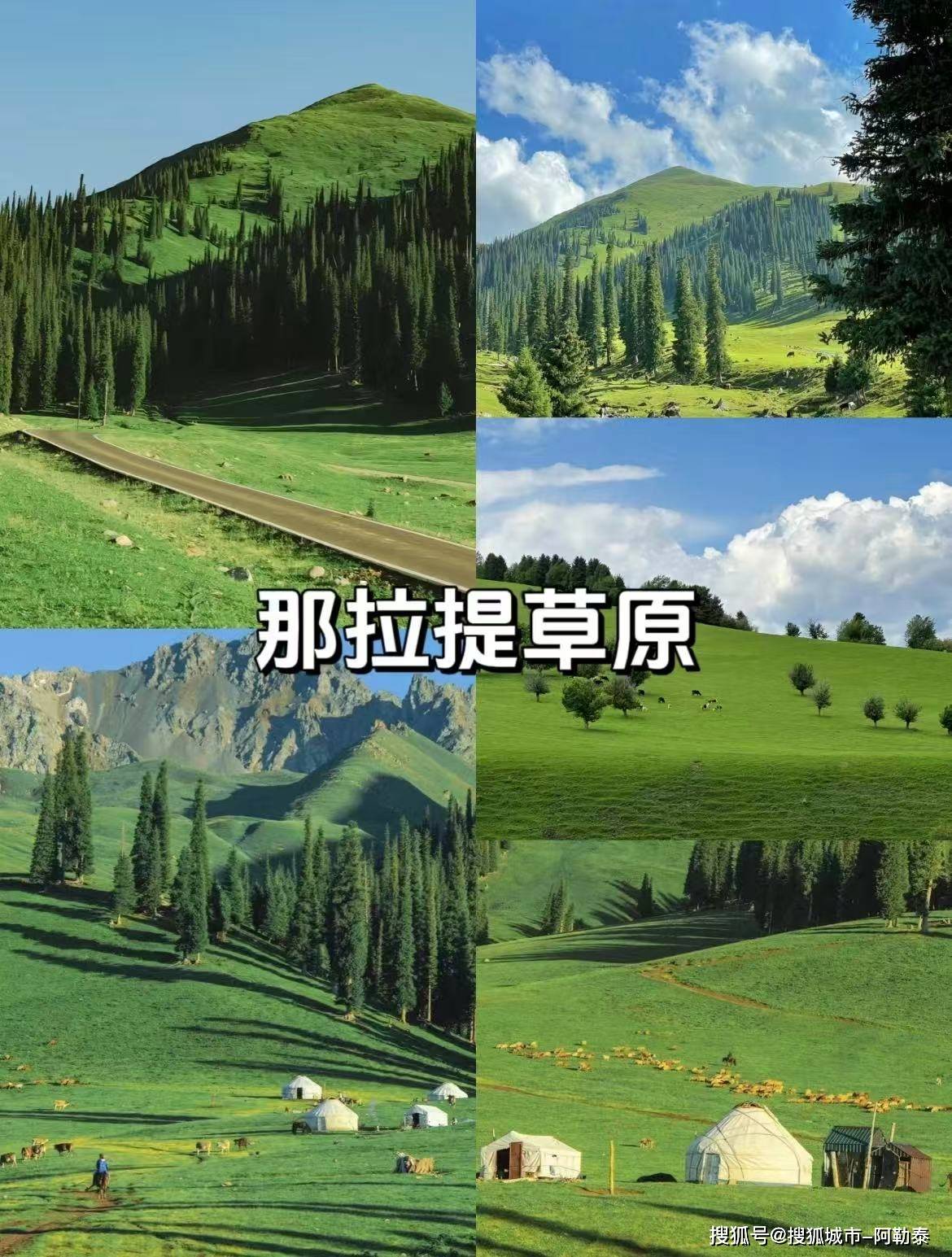 受高端旅行体验2025新疆最受欢迎的旅程开元棋牌网站说走就走！新疆轻奢跟团游享(图2)