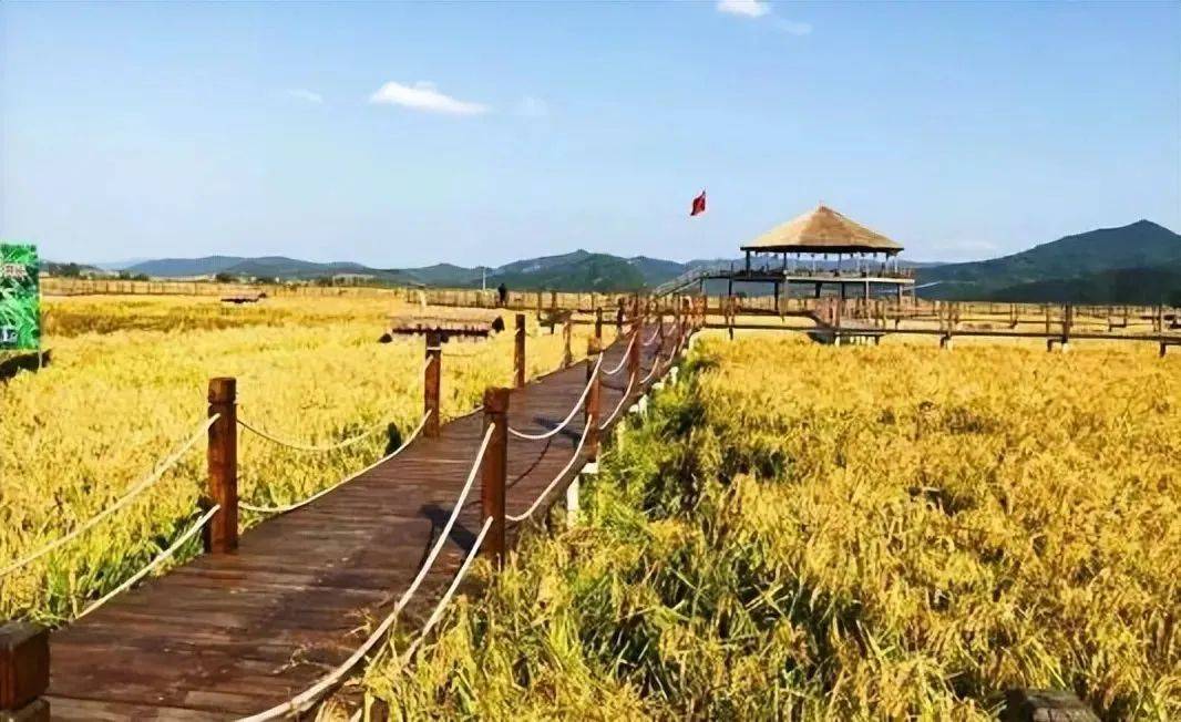 传统冰雪旅游到全季节旅游的转型升级开元棋牌app通化文旅2024：从(图6)