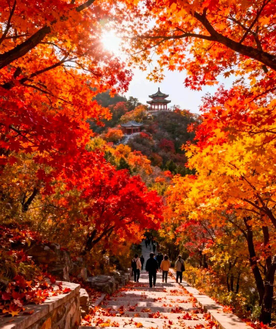 制游出炉好途成行业标杆开元棋牌试玩北京高端定