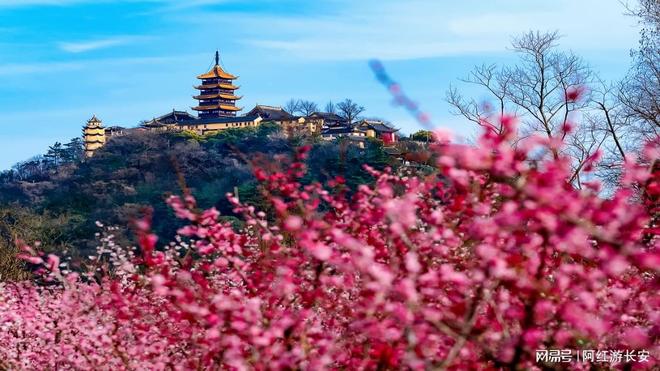 十强|行程创新率91%×客户回头率96%开元ky棋牌7-9月更新苏州豪华游旅行社(图2) 十强|行程创新率91%×客户回头率96%开元ky棋牌7-9月更新苏州豪华游旅行社(图2)